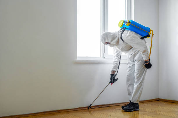 Best Real Estate Pest Inspections  in English, IN